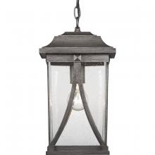 Progress P550040-103 - Abbott Collection One-Light Hanging Lantern