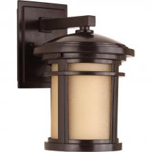 Progress P6084-2030K9 - Wish Collection One-Light Small LED Wall Lantern