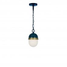 Crystorama CAP-8505-MK-TG - Brian Patrick Flynn Capsule 1 Light Matte Black + Textured Gold Outdoor Pendant