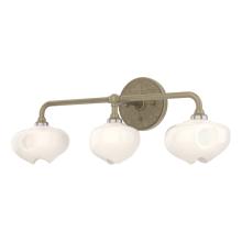 Hubbardton Forge 201342-SKT-84-84-FD0710 - Ume 3-Light Curved Arm Bath Sconce