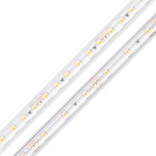 Diode Led DI-24V-BLBSC1-50-W016 - STRIP/TAPE LIGHT