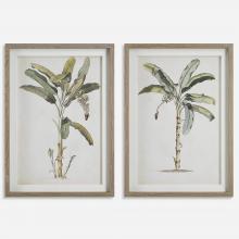 Uttermost 41446 - Banana Palm Framed Prints, Set/2