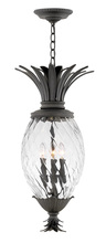 Hinkley 2122MB - Large Hanging Lantern